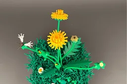 Dandelion