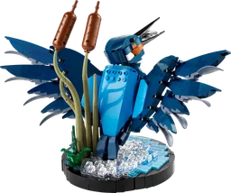 Kingfisher Bird