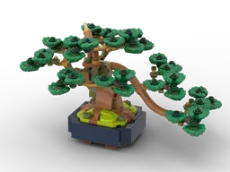 Juniper Mini-Bonsai