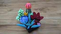 Potted Succulents