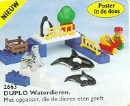Water Animals