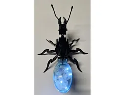 Crystal Honeypot Ant