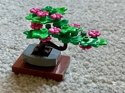 Tiny Bonsai Tree