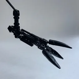 The Claw