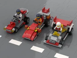 31005 The Race