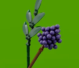 Baptisia & BeautyBerry