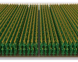Farm Field Crops