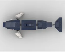 Dusky dolphin