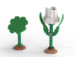 Tulip and Shamrock