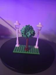 Lamp post & Tree