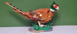 Pheasant