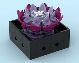 Potted Succulent