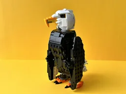 Bald Eagle