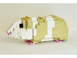 Guinea Pig