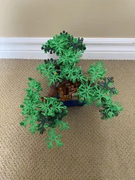 Bonsai Tree