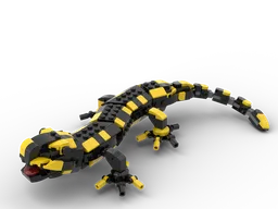 Fire Salamander