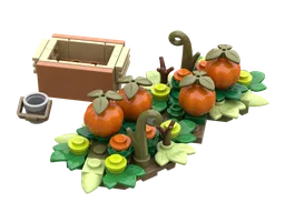 Field Pumpkins