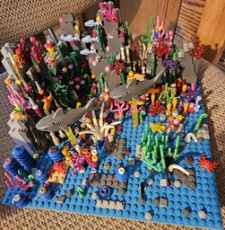 Coral Reef