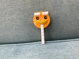 Mister. Lollipop Man