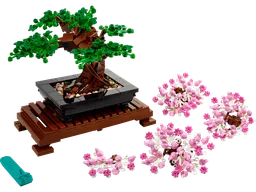Bonsai Tree