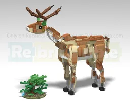 31150 Reindeer