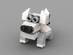 white pig