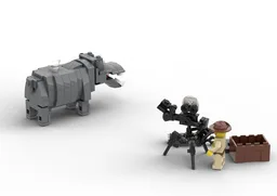 Hippo Safari