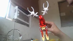 Red Deer