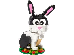 Year of the Rabbit