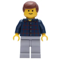 Man, Dark Blue Plaid Shirt, Light Bluish Gray Legs, Reddish Brown Hair