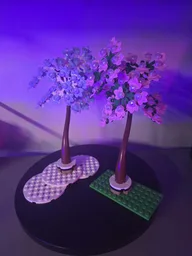 Winter Tree