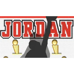 Michael Jordan Tribute Shadowbox