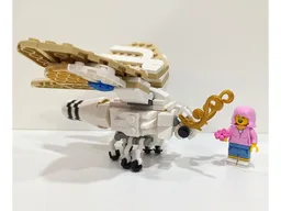 Insect Collection