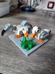 Seagulls