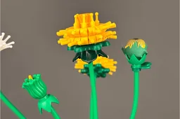 Dandelion