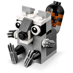 Raccoon