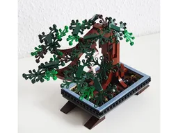 Bonsai
