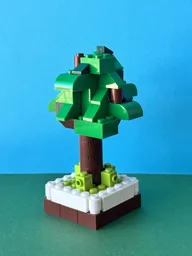 Park tree