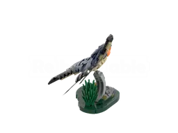 Barn Swallow