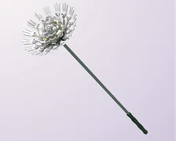 Stokes' Aster - White