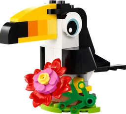 Tropical Toucan