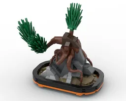 Bonsai on a rock