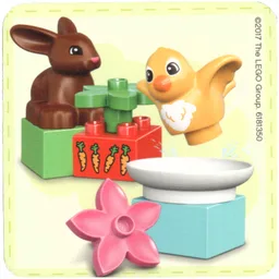 Find a Pair Card from Set 40267-1 / [No Color/Any Color]