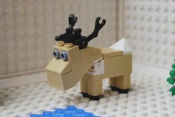 Reindeer