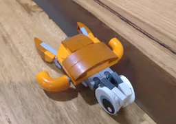 30754 C model : Turtle