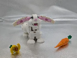 Pooping White Rabbit
