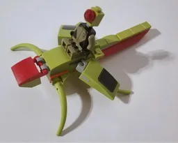 Insect