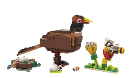 Pheasant