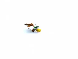 31044 Duck