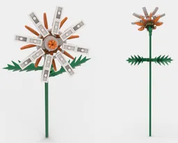 Orange and White Flower